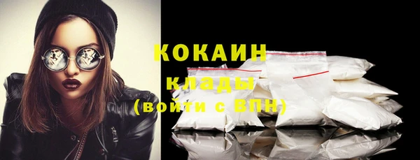 твердый Касимов