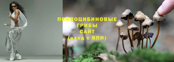 твердый Касимов