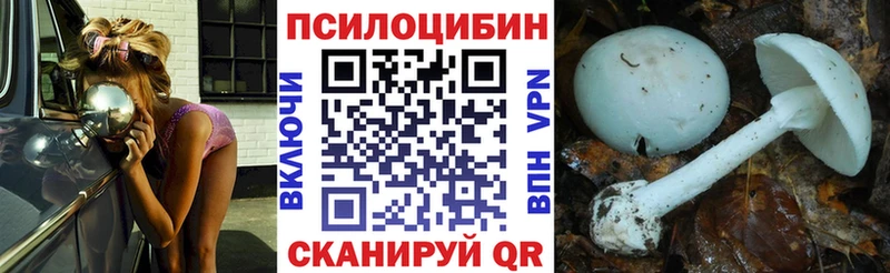 Псилоцибиновые грибы Psilocybine cubensis  Купить где  Рудня 